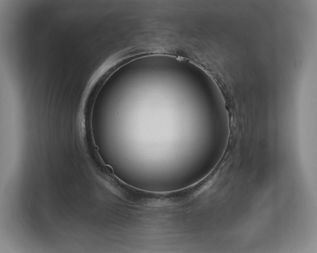 X0000113120246200909041311