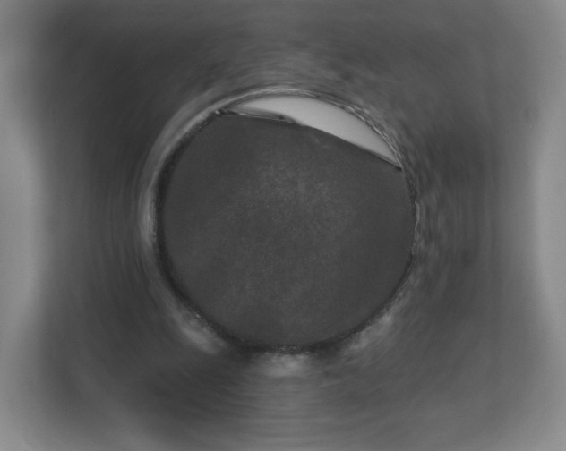 X0000113120247200909041311