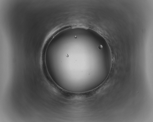 X0000113120248200909041311