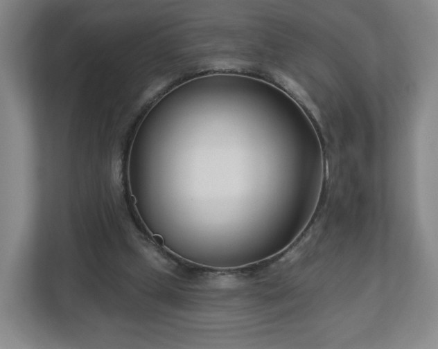 X0000113120249200909041311