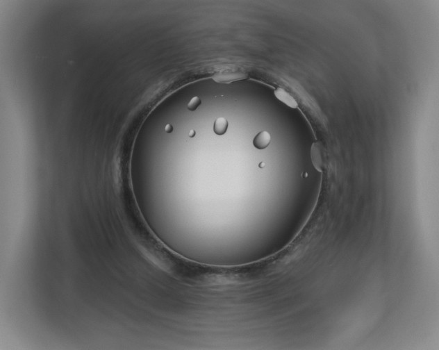 X0000113120250200909041312