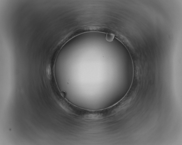 X0000113120251200909041312