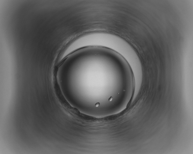 X0000113120252200909041312