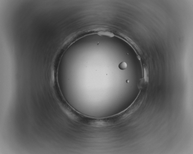 X0000113120253200909041312