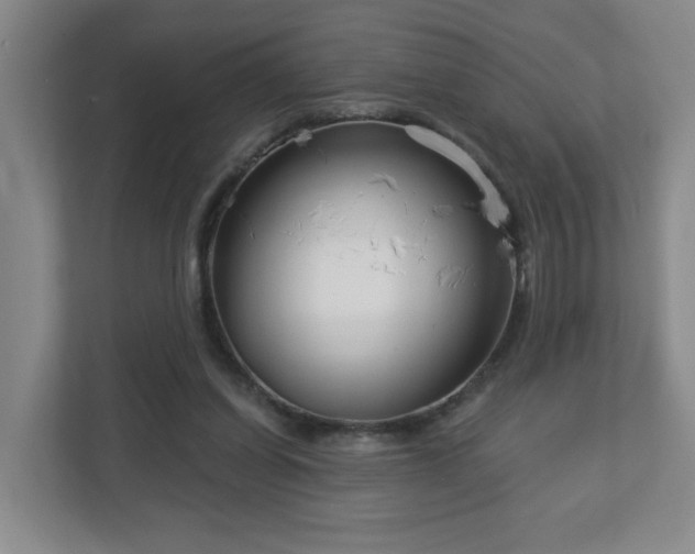 X0000113120254200909041312