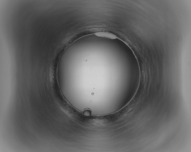 X0000113120255200909041312