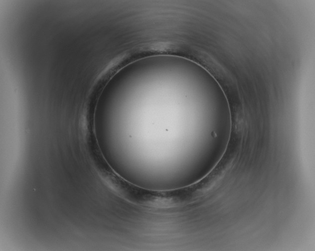 X0000113120256200909041312