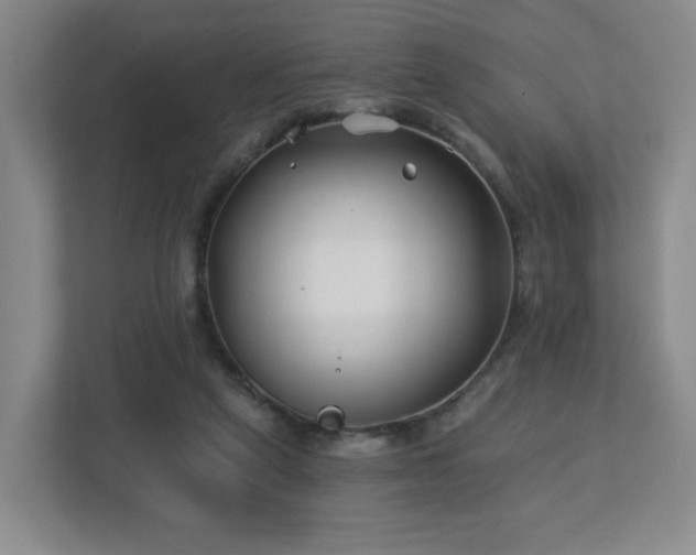 X0000113120257200909041312