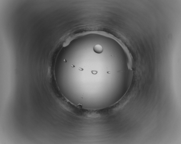 X0000113120258200909041312