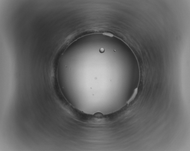 X0000113120260200909041312