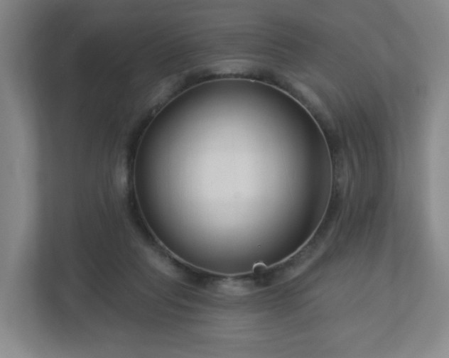 X0000113120261200909041312