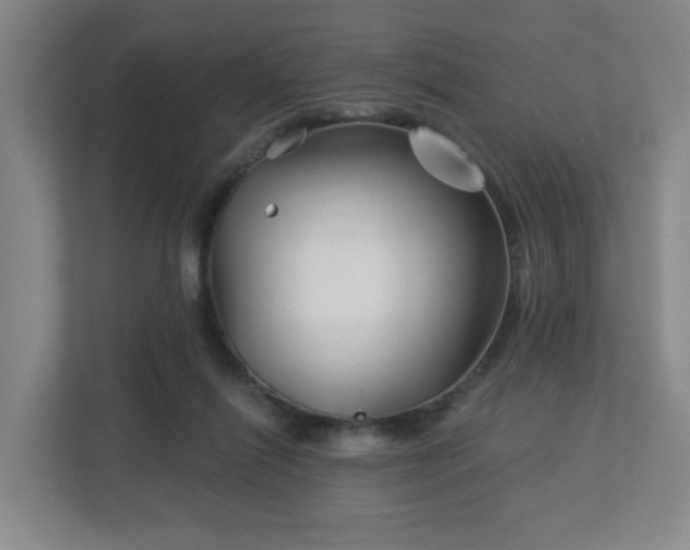 X0000113120262200909041312