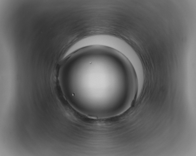 X0000113120264200909041312