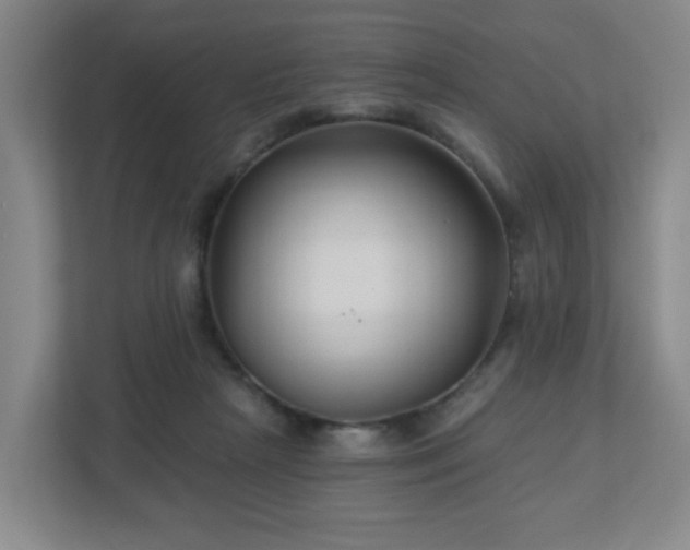 X0000113120265200909041312