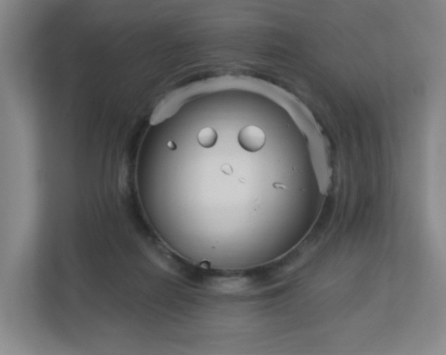 X0000113120266200909041312