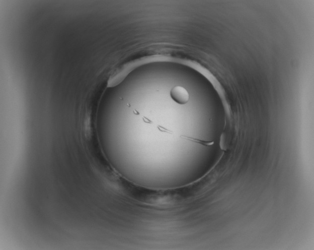 X0000113120267200909041312