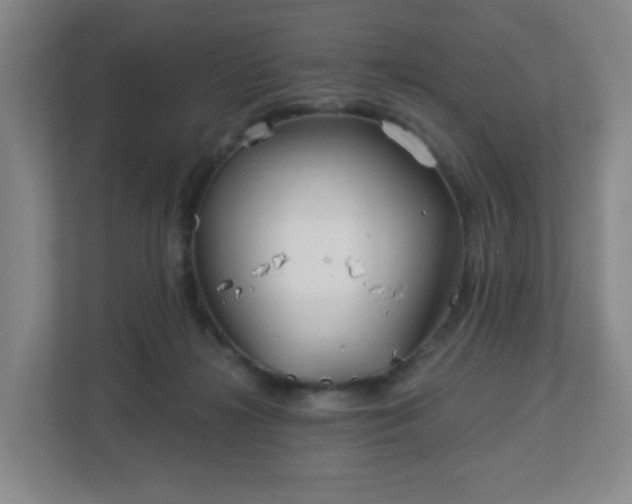 X0000113120268200909041312