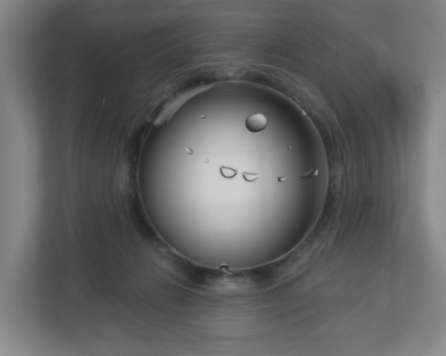 X0000113120270200909041312