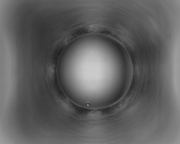 X0000113120271200909041312