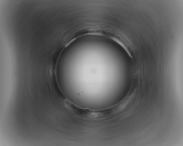 X0000113120277200909041312