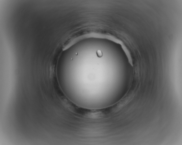 X0000113120278200909041312