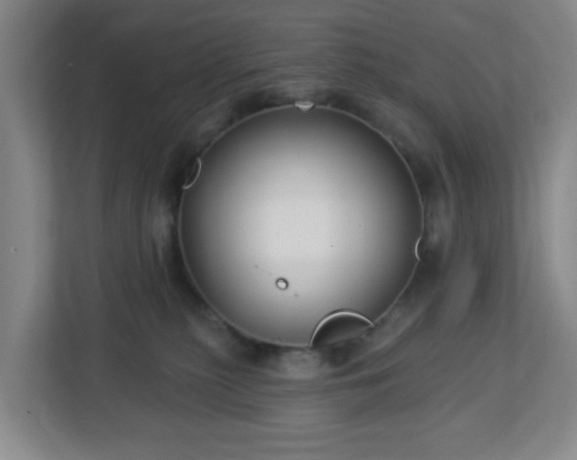 X0000113120279200909041312