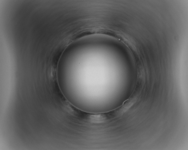 X0000113120281200909041312