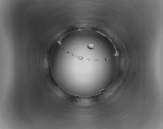 X0000113120282200909041312