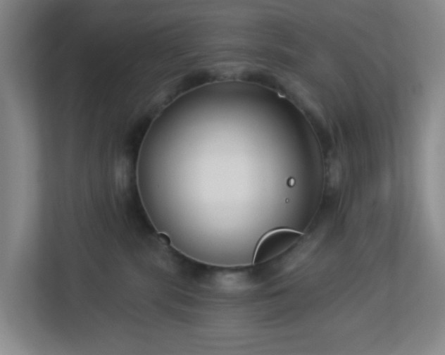 X0000113120283200909041312