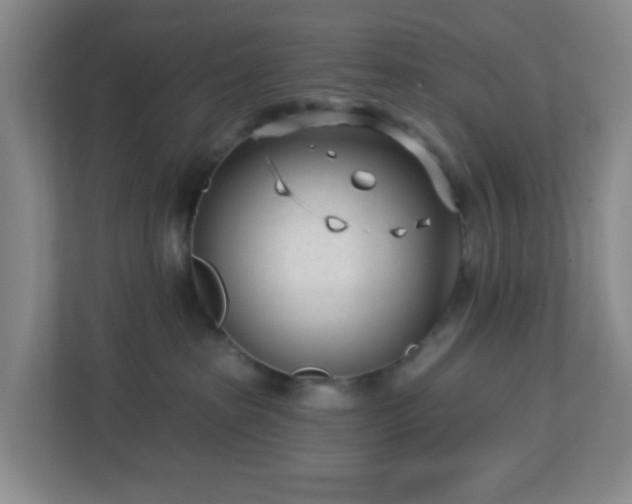 X0000113120285200909041312