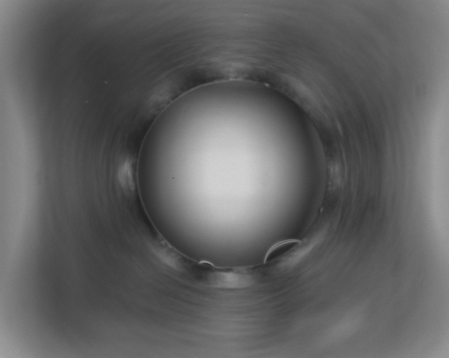 X0000113120286200909041312