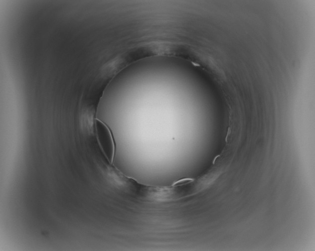 X0000113120288200909041312