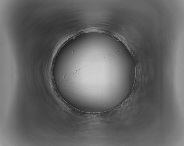 X0000113120289200909041311