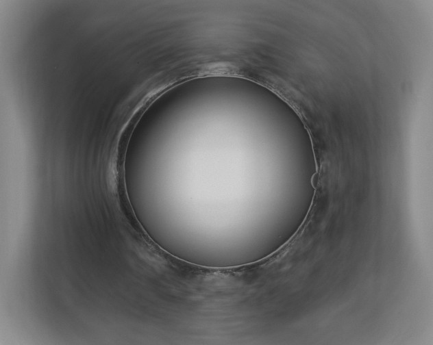 X0000113120290200909041311