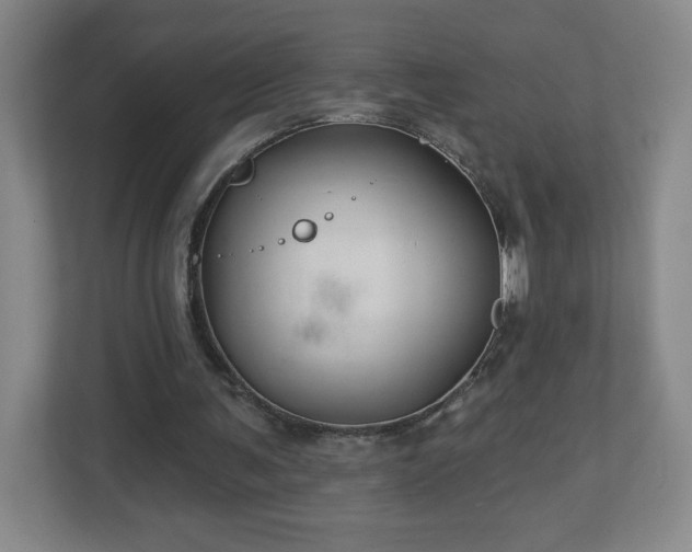 X0000113120291200909041311