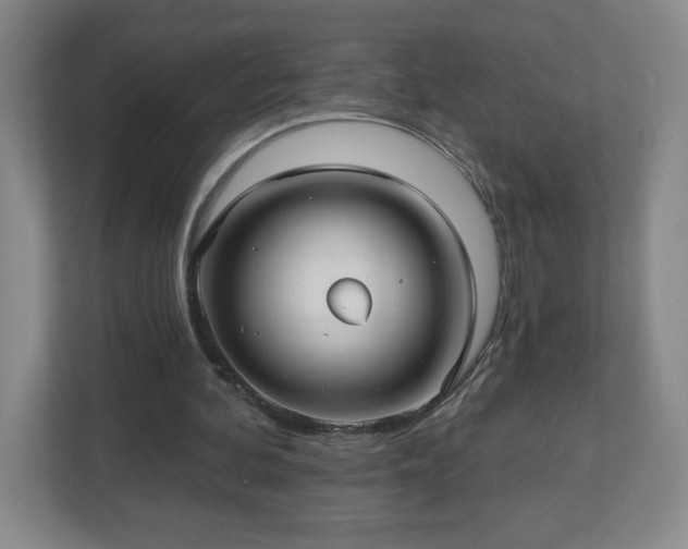 X0000113120292200909041311