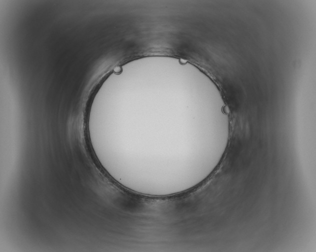 X0000113120293200909041311