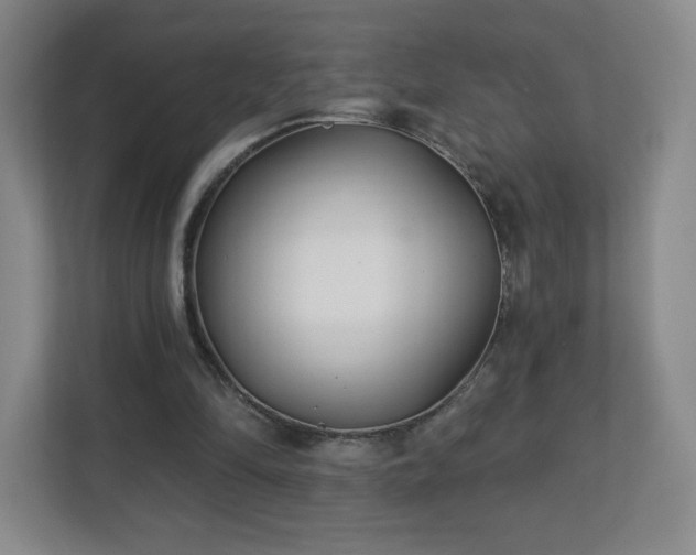 X0000113120294200909041311