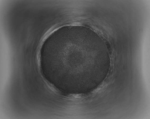 X0000113120295200909041311