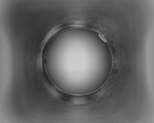 X0000113120296200909041311