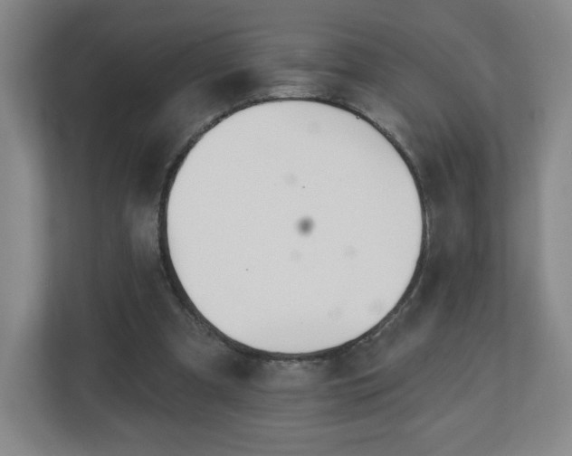 X0000113120297200909041311