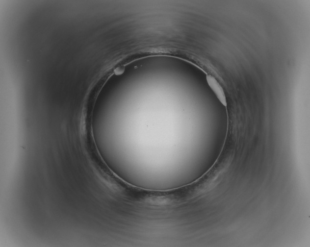 X0000113120299200909041311