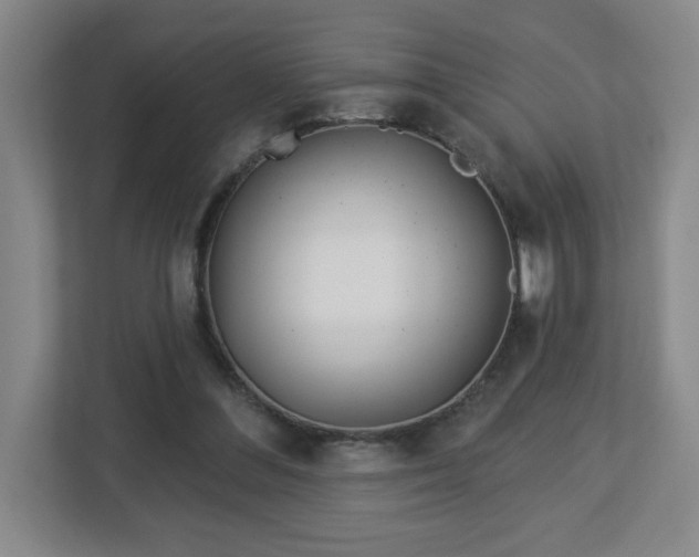 X0000113120300200909041311