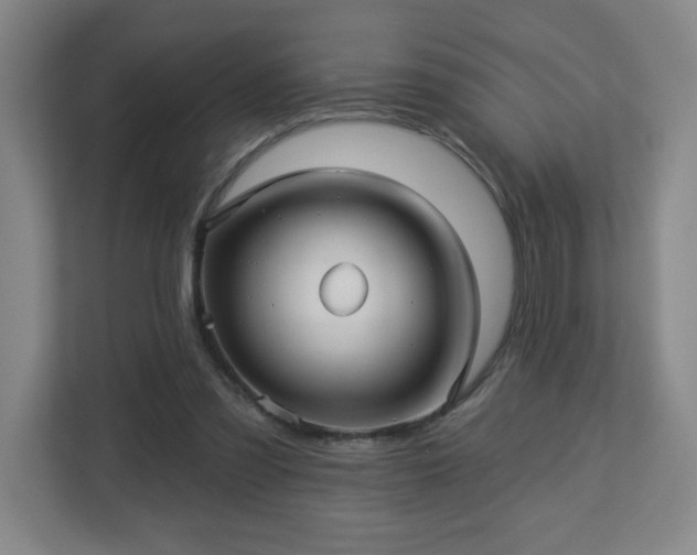 X0000113120301200909041311