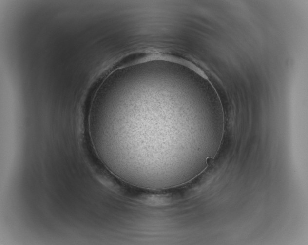 X0000113120303200909041311