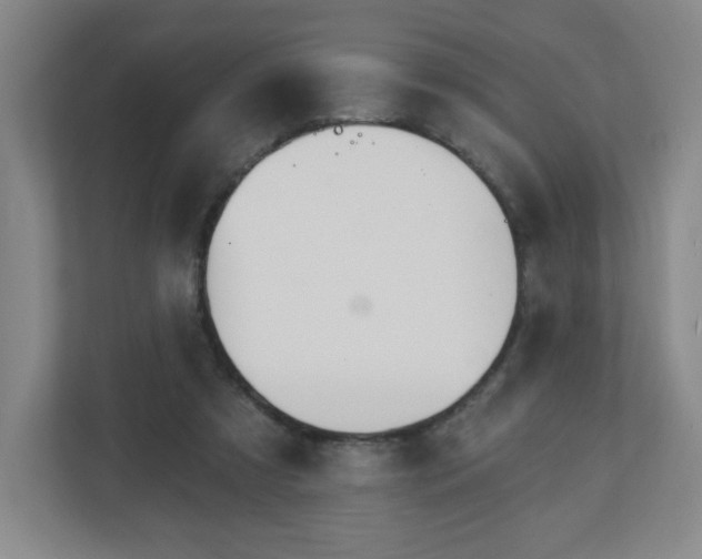 X0000113120305200909041311