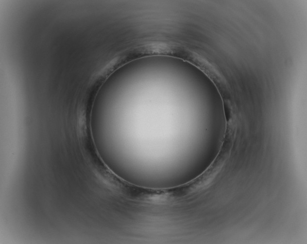 X0000113120306200909041311