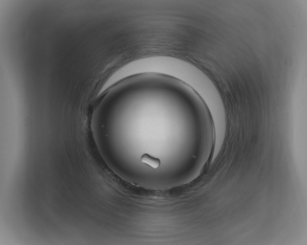 X0000113120308200909041311