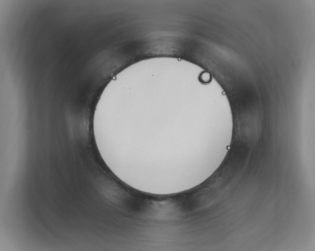 X0000113120309200909041311