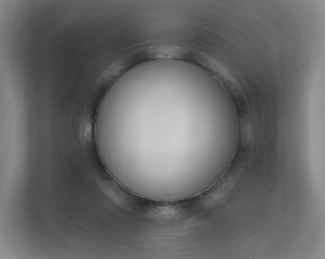 X0000113120310200909041311